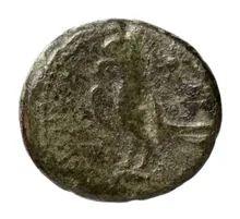 coin rev