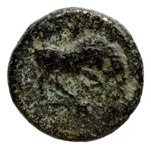 coin rev