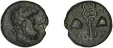 coin rev
