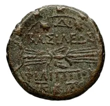 coin rev
