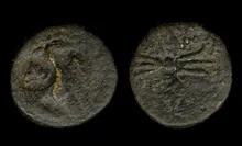 coin obv