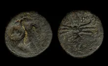 coin rev