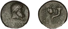 coin rev