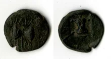coin rev