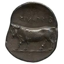 coin rev