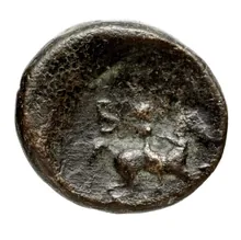 coin rev