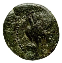 coin obv
