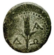 coin rev