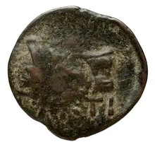 coin rev