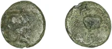 coin rev