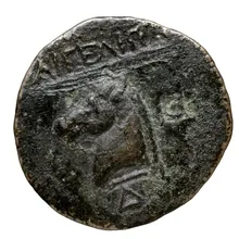 coin rev