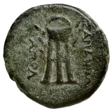coin rev
