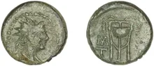 coin rev