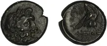 coin rev