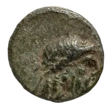 coin obv