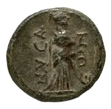 coin rev