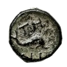 coin rev