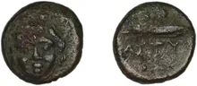 coin rev
