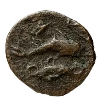 coin rev