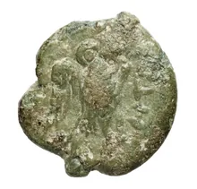 coin rev