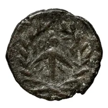 coin rev