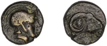 coin rev