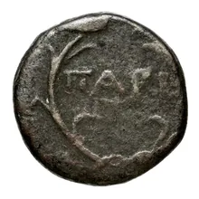 coin rev