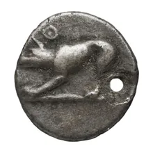 coin obv