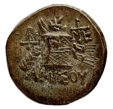 coin rev