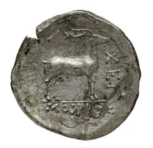 coin rev