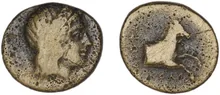 coin rev