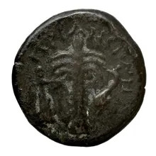 coin rev