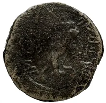 coin rev