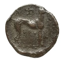 coin rev