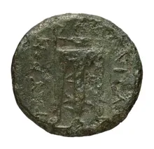 coin rev