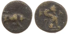 coin rev