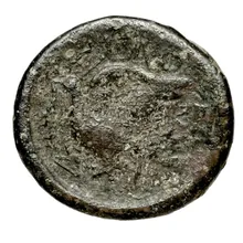 Rhodes rev