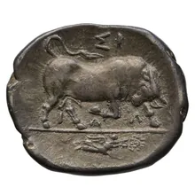 coin rev