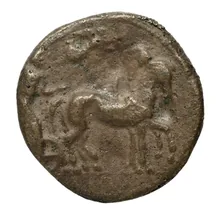 coin rev