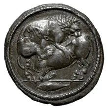 coin obv