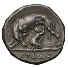 coin rev