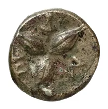 coin rev