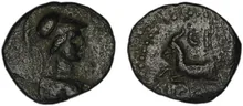 coin rev