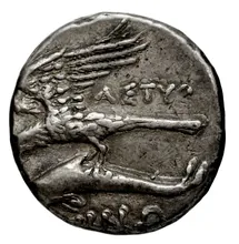 coin rev