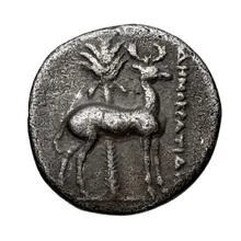 coin rev