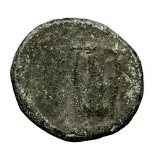 coin rev