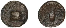 coin rev