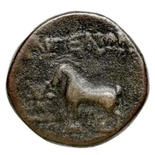 coin rev