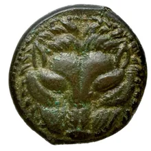 coin obv