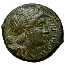 coin rev